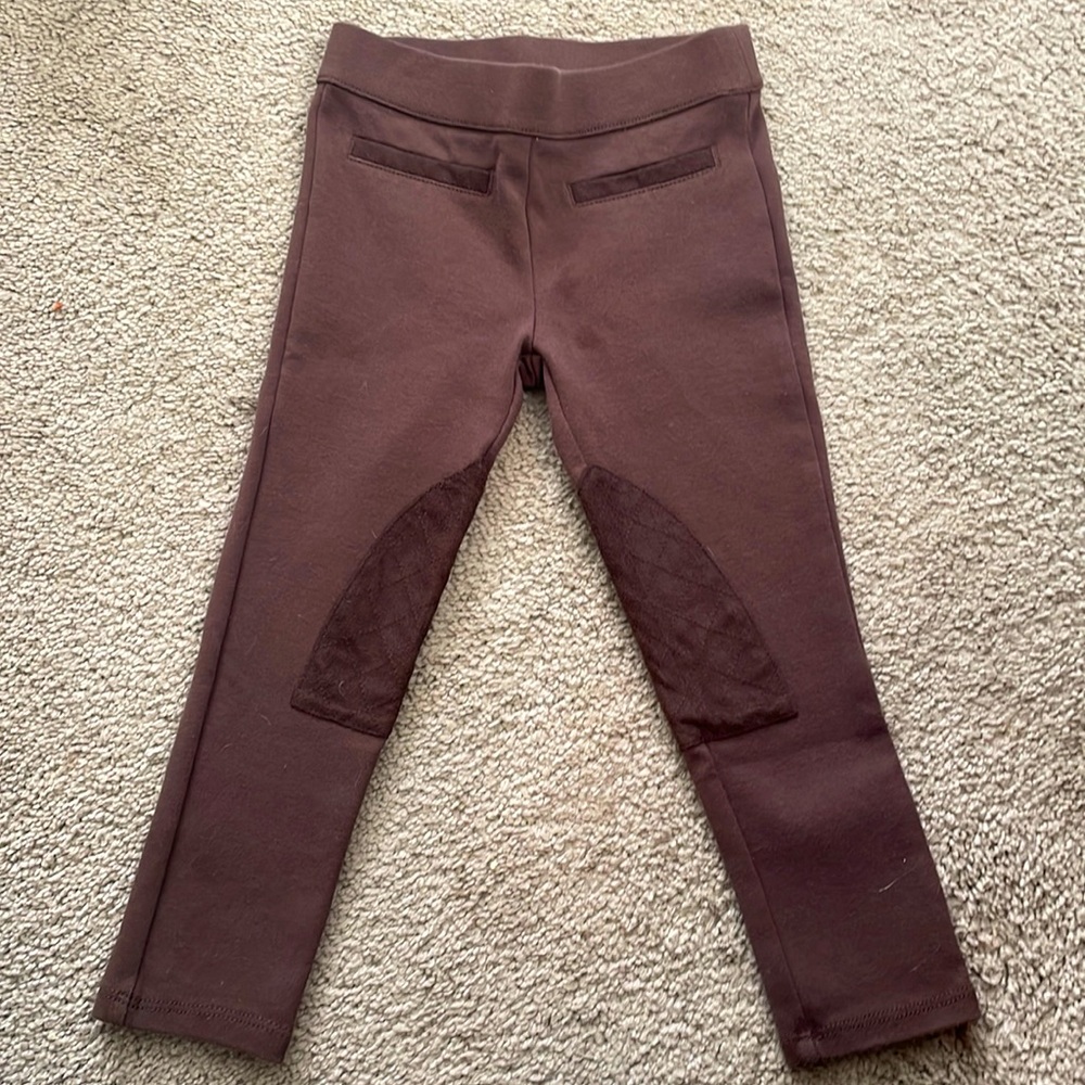 Janie and Jack brown with brown riding pants
